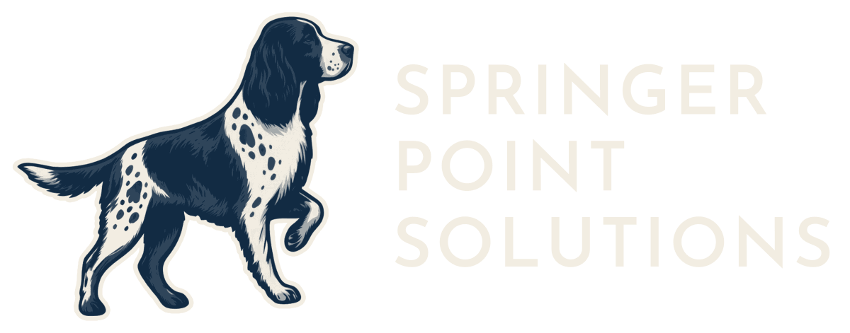 Springer Point Solutions